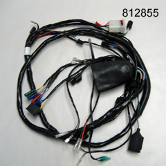 Wiring Harness E-Ton Rover GT UK2