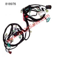 Ignition Switch (E-Ton Vector 250) 4 Pins in 4 Pin Female ... roketa gk 01 wiring harness 