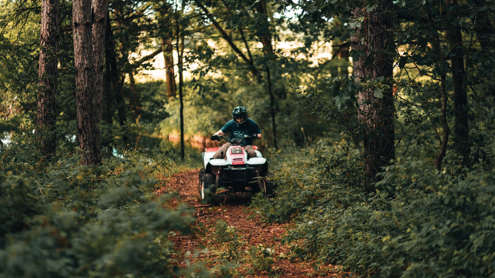 Rider driving a Chinese ATV through a wooded trail