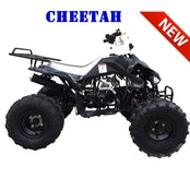 ATV & UTV Parts > TaoTao   Cheetah 110cc