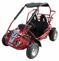 80T (163cc, 5.5hp)