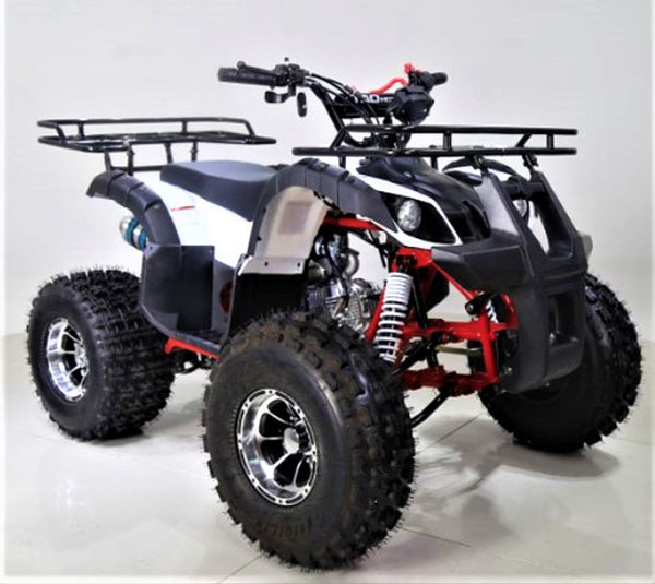  New T-Force-125cc & T125