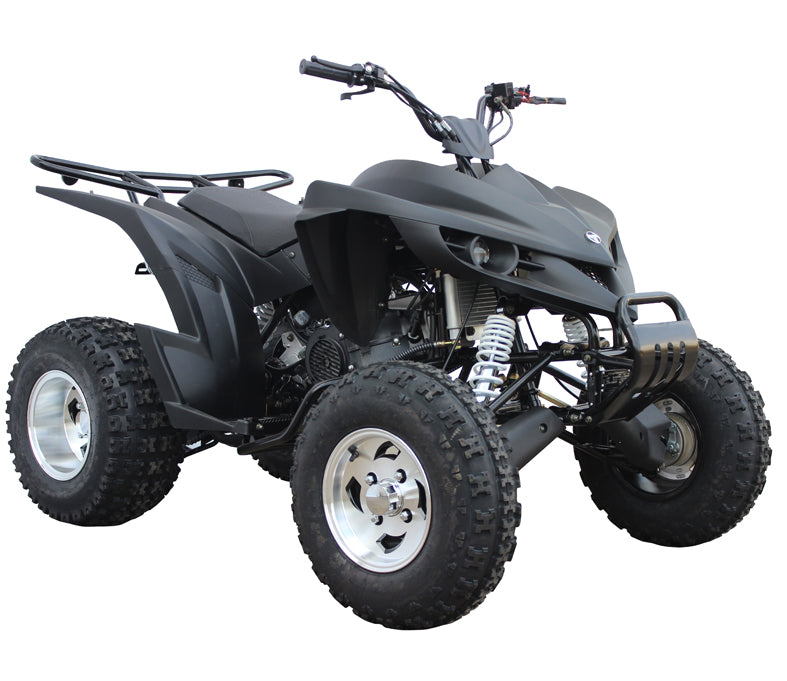 ATV & UTV Parts>Kandi>MDL 200ASG-1