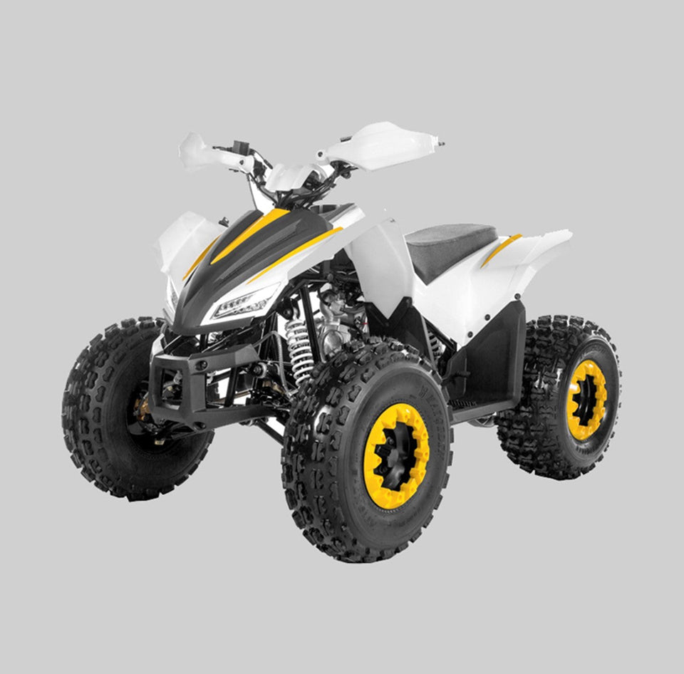 ATV & UTV Parts > TaoTao   Coyote 125