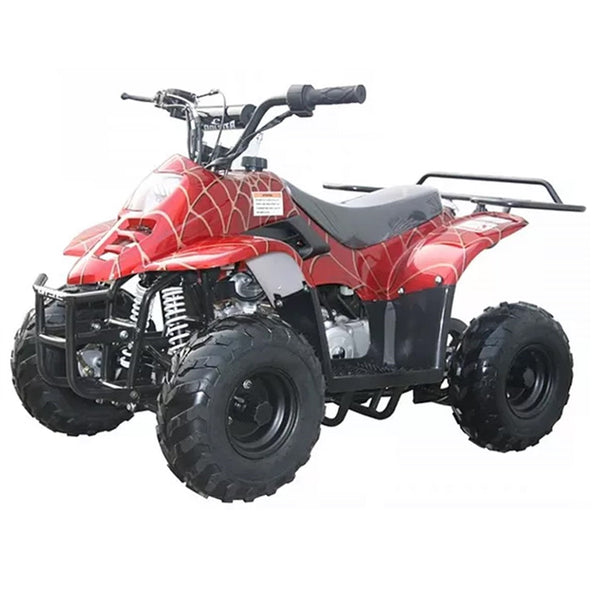  110cc ATV 3050C