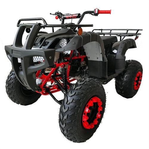 ATV & UTV Parts> X Pro> Cougar 200