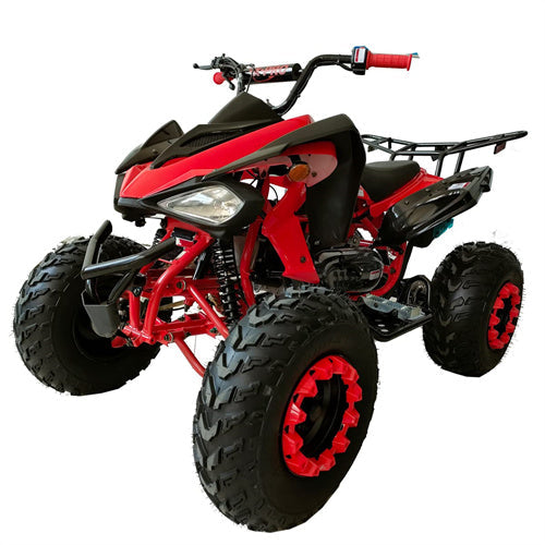 ATV & UTV Parts> X Pro> Panther 200