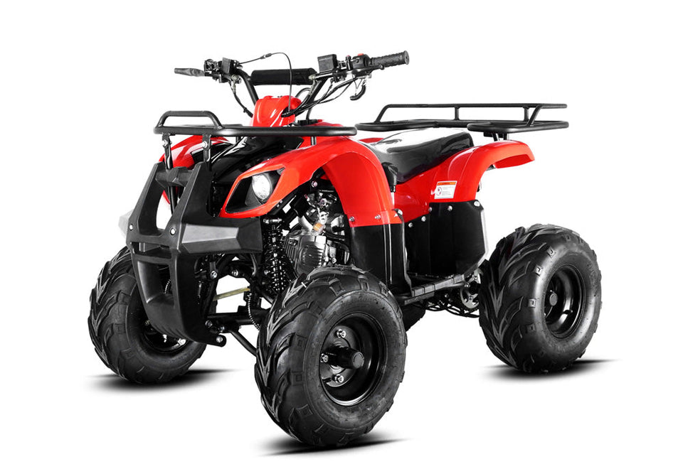 ATV & UTV Parts > Apollo (Orion) > Focus 110cc