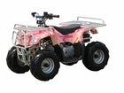 Coolster 110cc 3050A