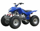 ATV & UTV Parts >Coolster 250cc 3250B