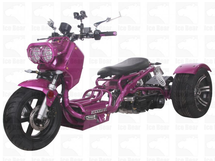 Scooter Parts>Icebear>  Maddog PST150-19 & 19N
