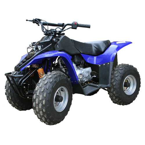 ATV & UTV Parts > Kazuma   Lacoste 150