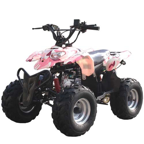 ATV & UTV Parts > Peace   110cc TPATV517 & 527