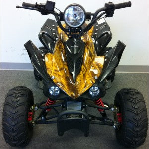 ATV & UTV Parts > Peace   110cc TPATV518
