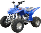 110cc ATV-15C