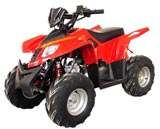 110cc ATV-59
