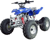  110cc ATV-79