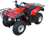  250cc ATV-10 (Air Cooled)