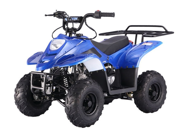 ATV & UTV Parts > TaoTao   ATA-110B1