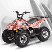 ATV & UTV Parts > TaoTao   ATA-110B3