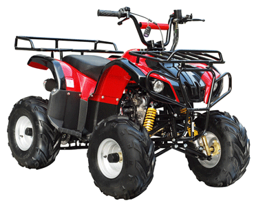 ATV & UTV Parts > TaoTao   ATA-110D & D1