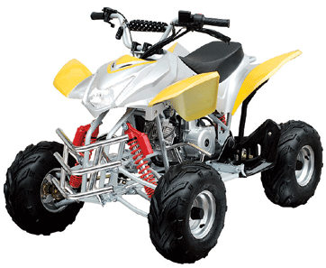 ATV & UTV Parts > TaoTao   ATA-110H1 & L1