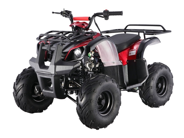 ATV & UTV Parts > TaoTao   ATA-125D