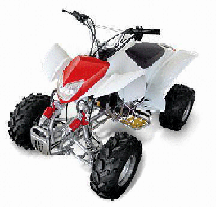 ATV & UTV Parts > TaoTao   ATA-250E
