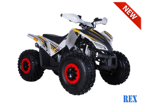 ATV & UTV Parts > TaoTao   Rex-125cc