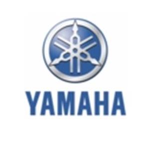 ATV & UTV Parts > Yamaha