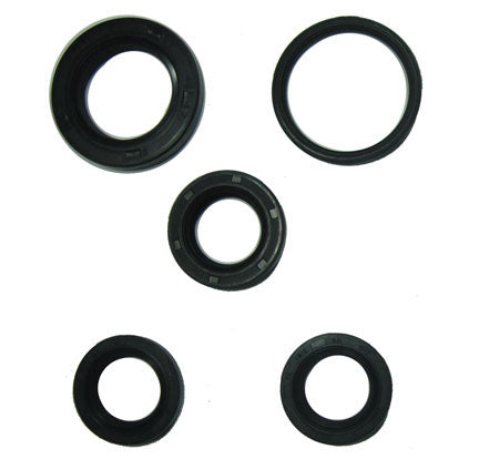 Oil Seal Kit GY6-125, GY6-150 Chinese ATVs, GoKarts, Scooters  20x32x6, 27x42x7, 34x41x4 , 19.8x30x5 (2pc)