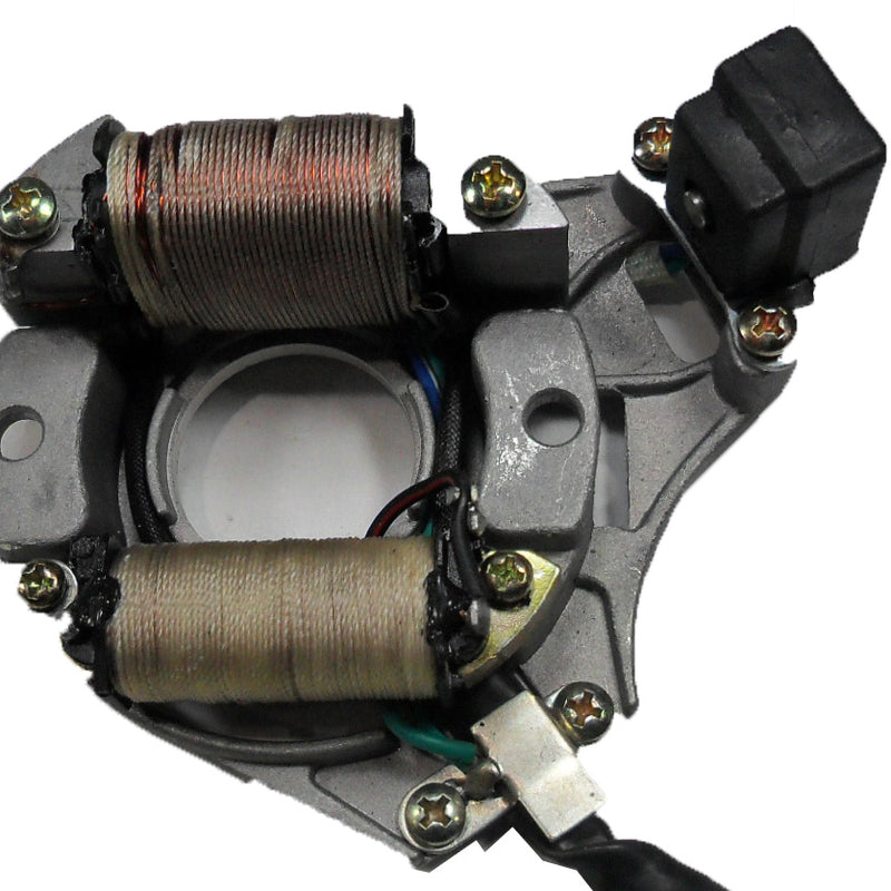 Stator 2 Coils 5 Pin in 6 Pin FM Jack