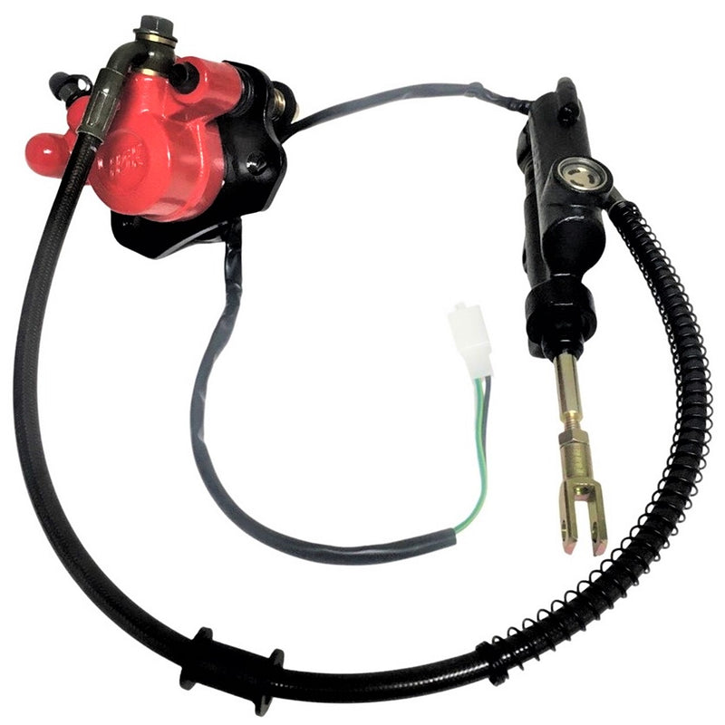 REAR FOOT BRAKE ASSEMBLY Line = 18.25