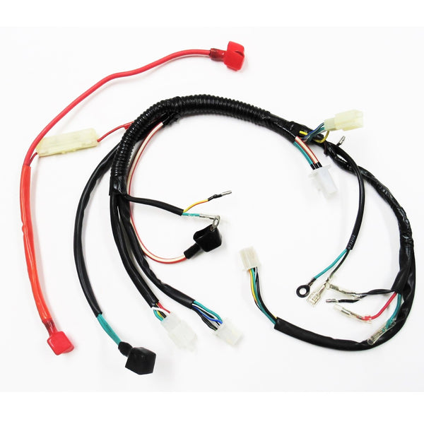 Wiring Harness Fits Tomberline and many other small 50-125cc dirt bikes.