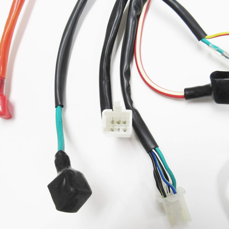 Wiring Harness Fits Tomberline and many other small 50-125cc dirt bikes.