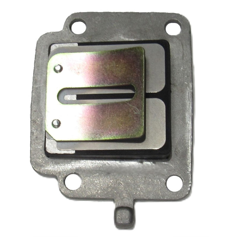 Reed ValveFits many Aeon & Polaris ATVs.