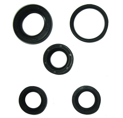 Oil Seal Kit GY6-125, GY6-150 Chinese ATVs, GoKarts, Scooters 20x32x6, 27x42x7, 34x41x4 , 19.8x30x5 (2pc)