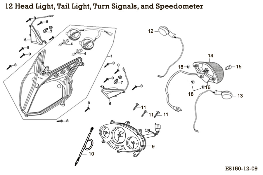  Head Light, Tail Light, Turn Signals, and Speedometer